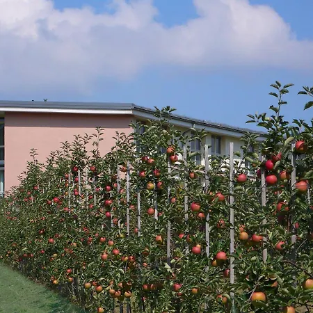 Dorint Durbach/schwarzwald Otel Durbach