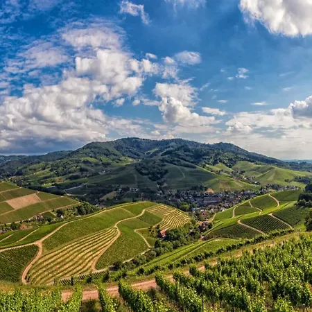 Otel Dorint Durbach/schwarzwald 4*