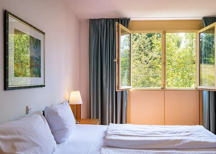 Hotel Dorint Durbach/schwarzwald 4*