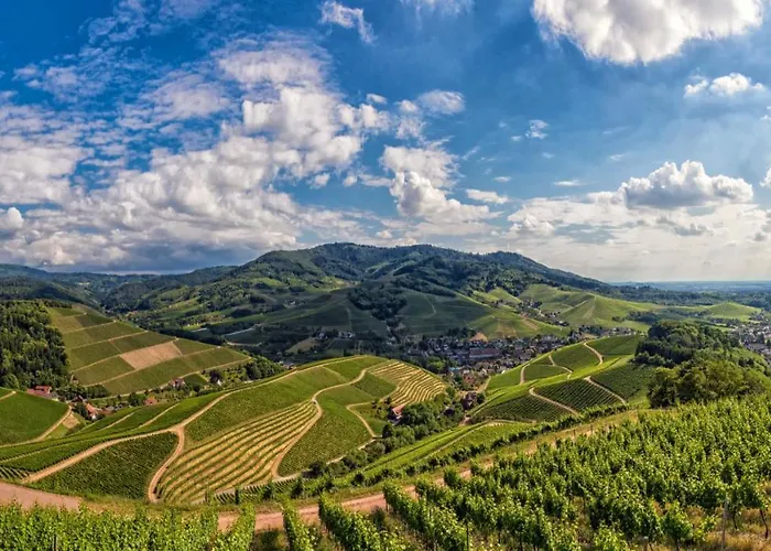 Hotel Dorint Durbach/schwarzwald 4*